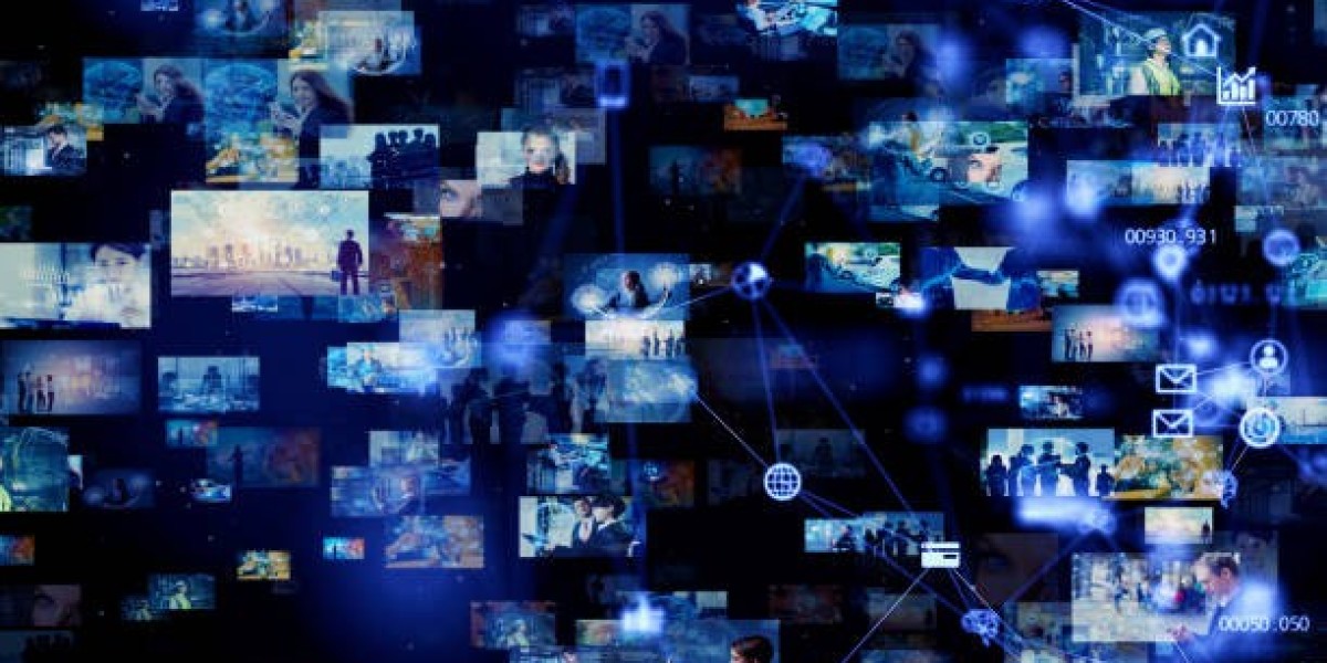 How a Film Distribution Company Shapes the Succ