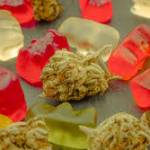 elizabethr eichel Profile Picture