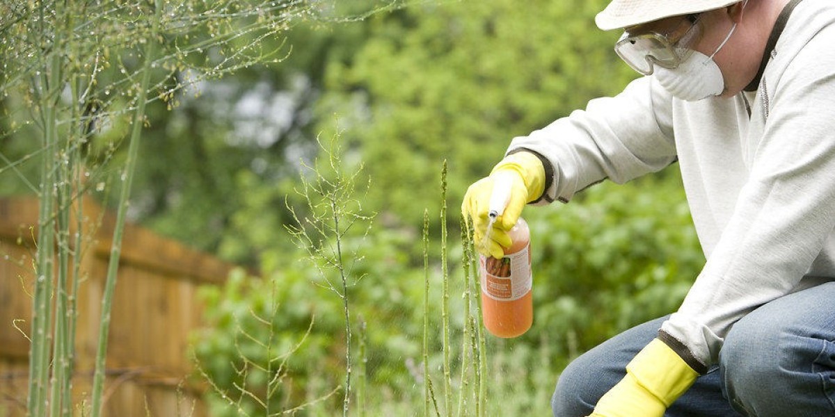 Foliar Spray Market Trends: What to Expect
