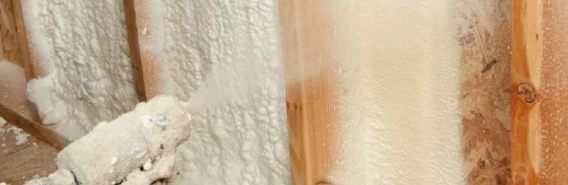 Des Moines Insulation Cover Image