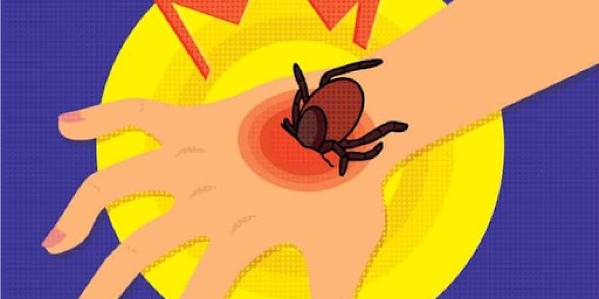 Can Chiggers Cause Lyme Disease? Myths vs. Fact