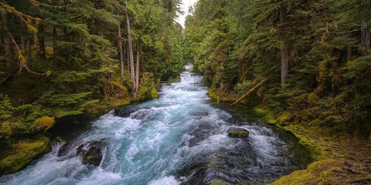 Book Salem Oregon Flights with CompareWings