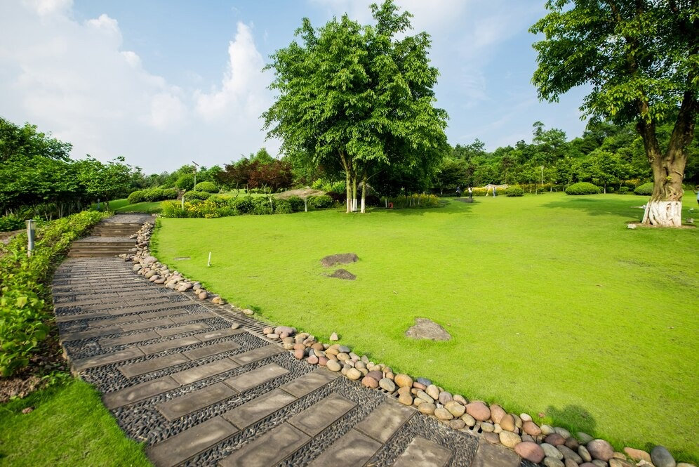 Creating Greener Spaces with Expert Landscaping Services in South Auckland