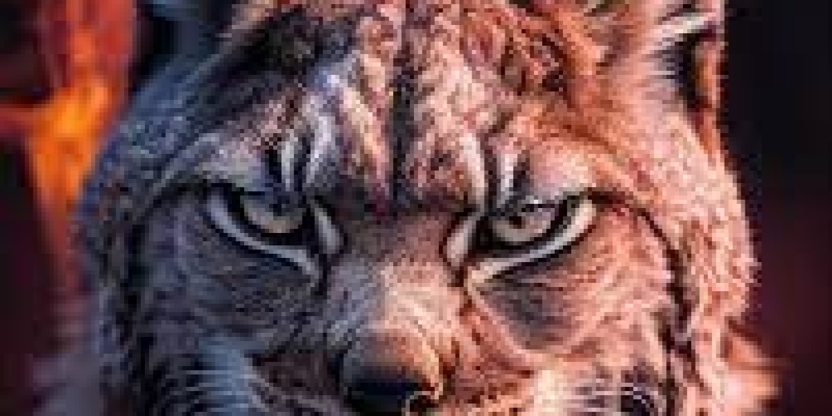 Fuego Lince: La unión perfecta entre energía y