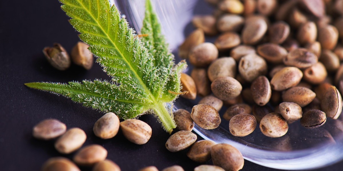 Cannabis seeds market facing pain points