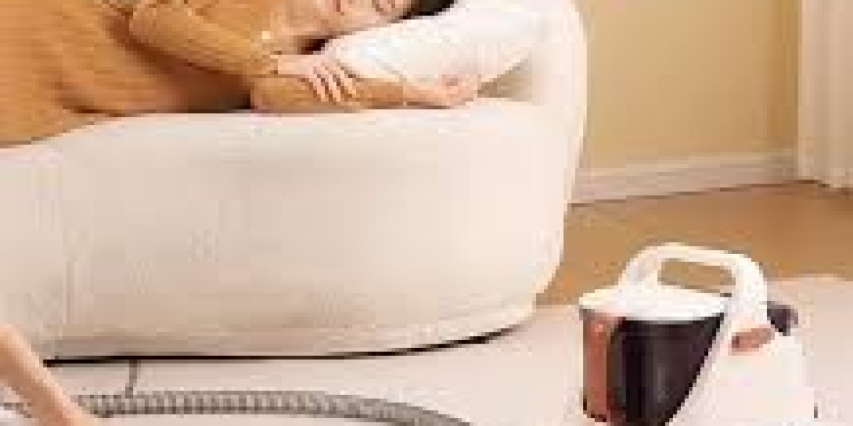 Portable Spot Cleaners Market Growth Influenced