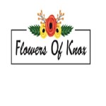 Flowers Of Knox Profile Picture