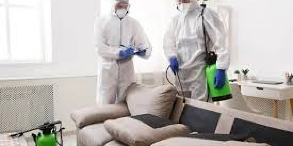 24 Hour Pest Control Dubai – Keeping Your Home
