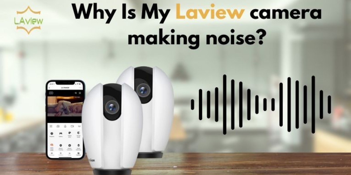 Why Is My Laview camera making noise?