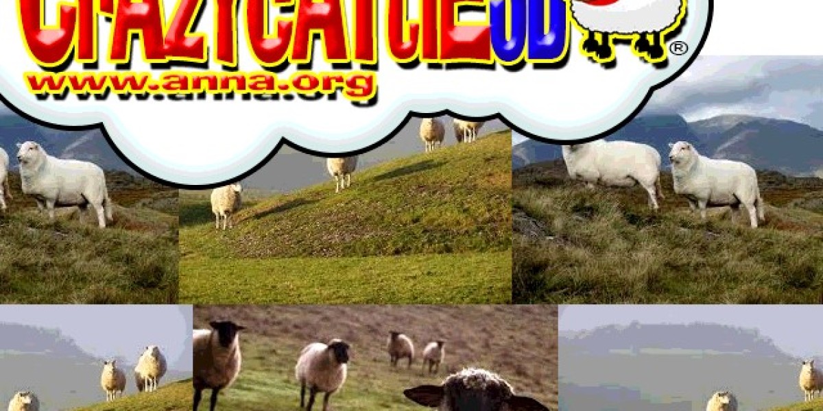 How Crazy Cattle 3D Turned My Lazy Sunday into