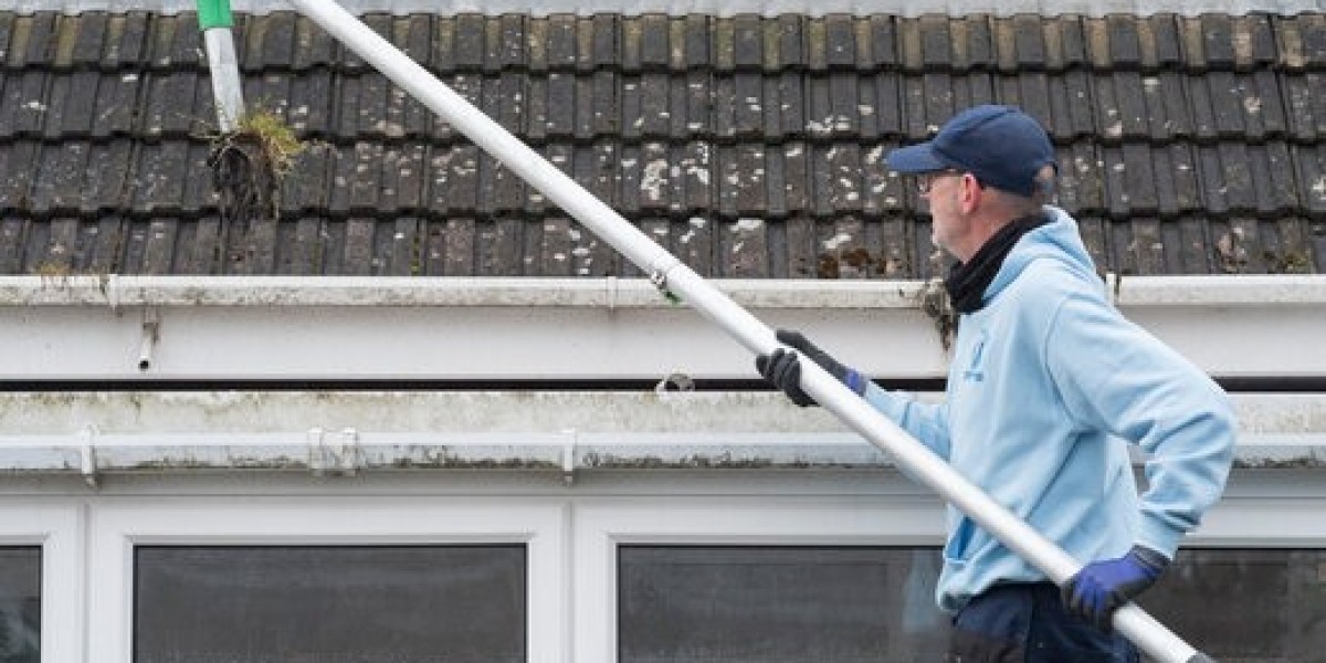 First Choice Tree Trimming Services Sydney