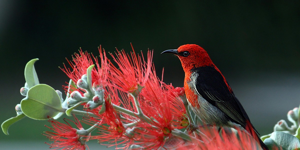 Unterhaltung und Risiko: Die Balance