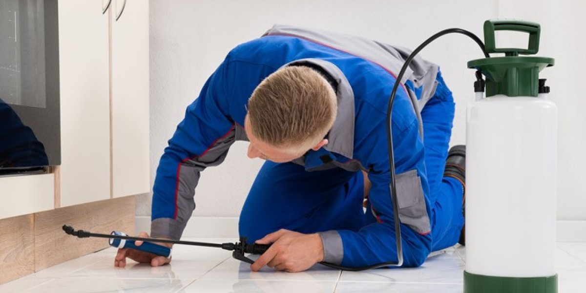 Mastering Pest Elimination with the Right Pest