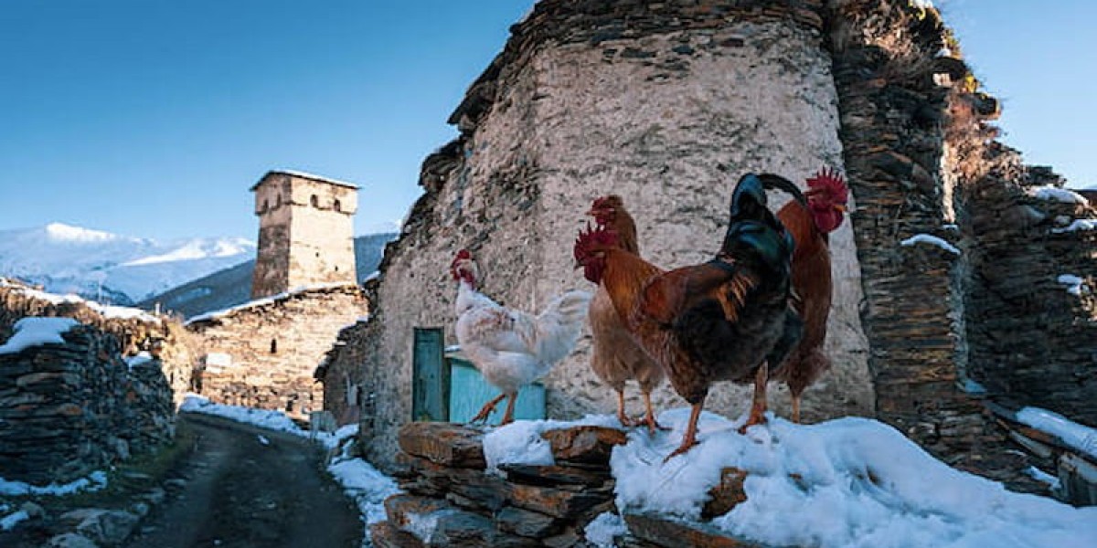 5 Days Exploring Georgia’s Mountain Villages