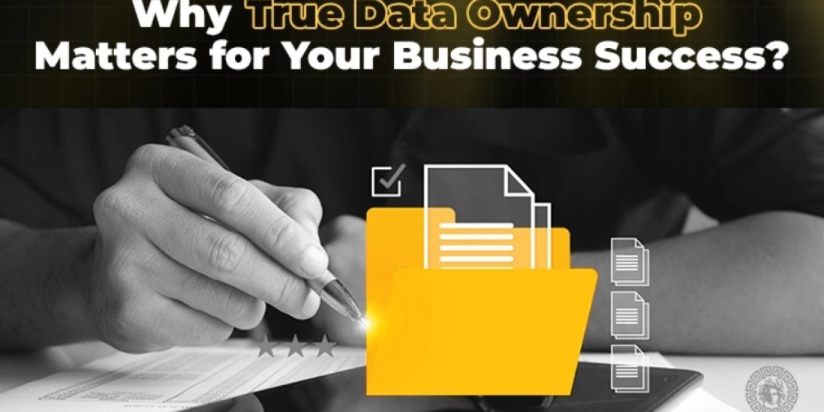 Data Ownership Matters for Business Success