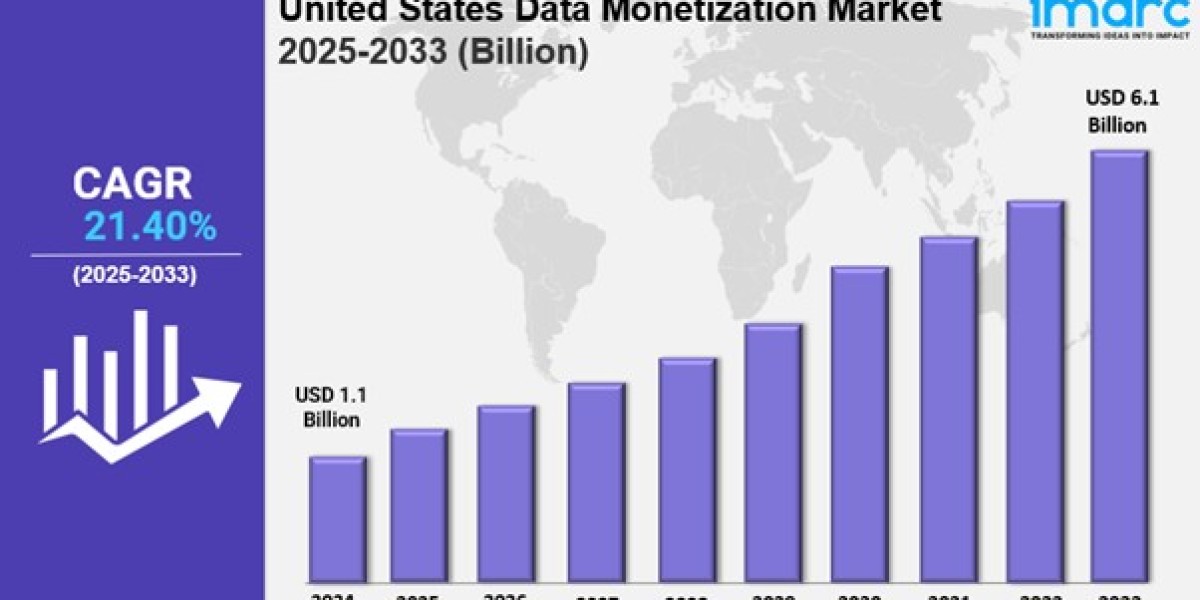 U.S. Data Monetization Market Size 2025-2033