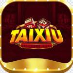 taixiuuknet Profile Picture