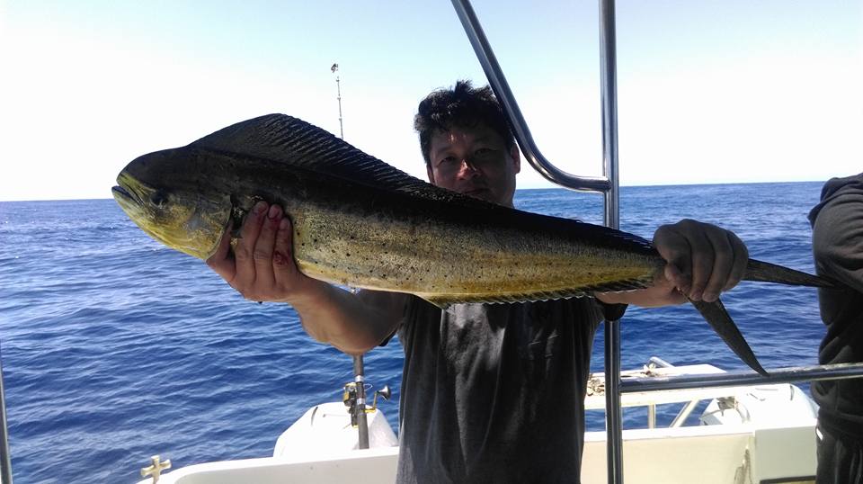 Local fishing charters