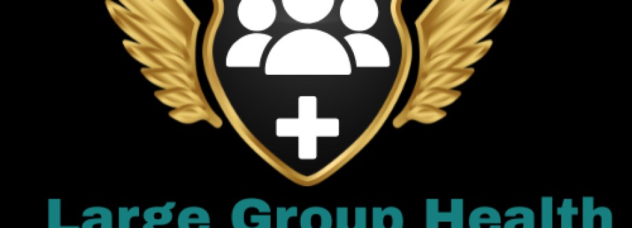 Large Group Health Insurance Cover Image