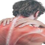 ArthroMax Cream Profile Picture