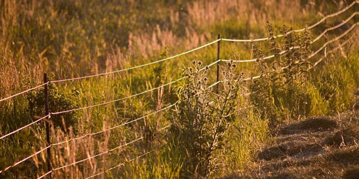 Understanding and Avoiding Harsh Ohio OVI Pena