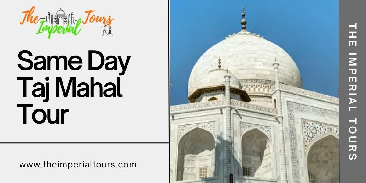 A Day in Paradise: Discover the Magic