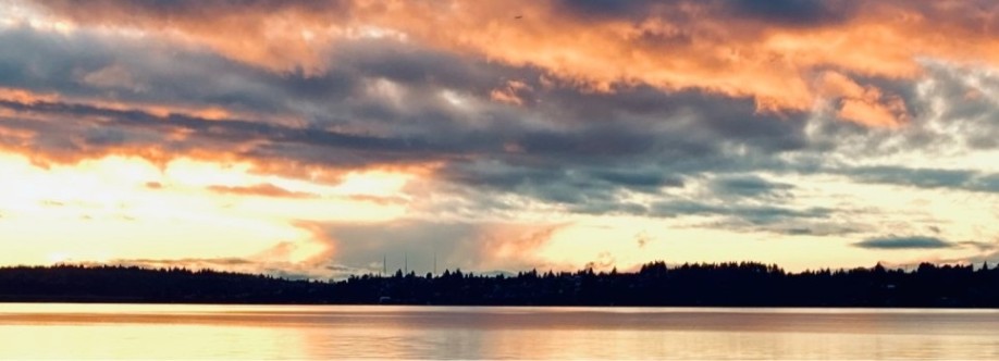 Justin Stewart Cover Image