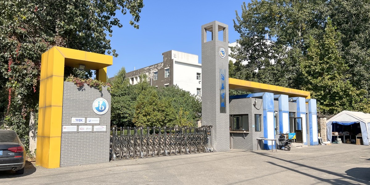 Beijing International Bilingual Academy: Combin