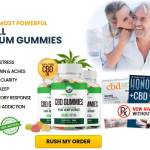 Raymondhigh Profile Picture