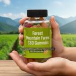 Steven immon Profile Picture