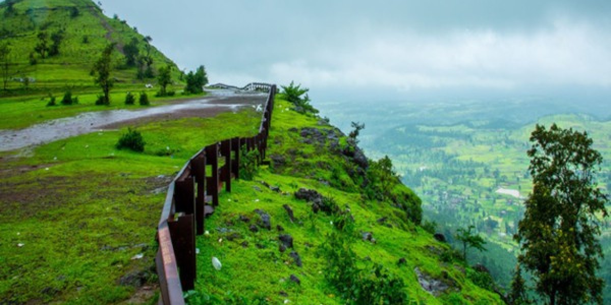 Surat to Saputara Cab