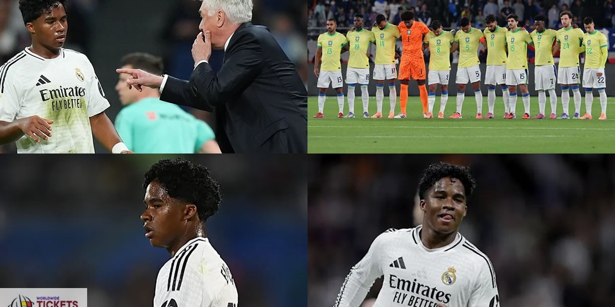 Brazil FIFA World Cup Tickets: Brazil boss Ance