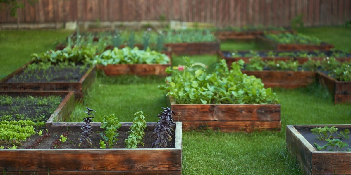 Easy Steps to Create a DIY Veggie Patch at Home
