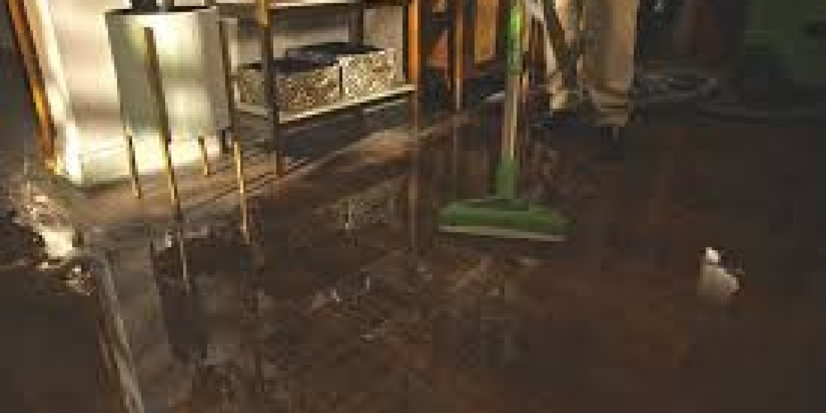 Water Damage in San Mateo: Causes, Prevention,