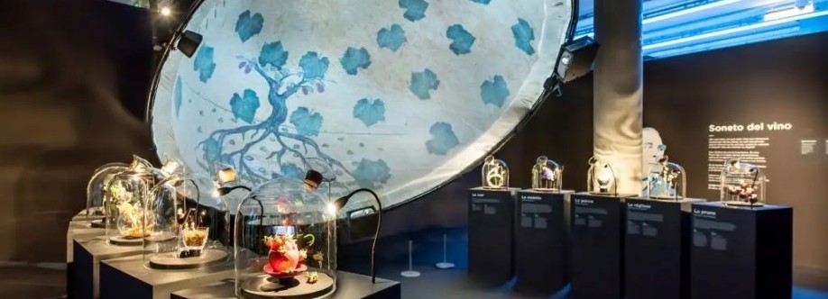 NewMedia Creative Technology Studio SL Cover Image