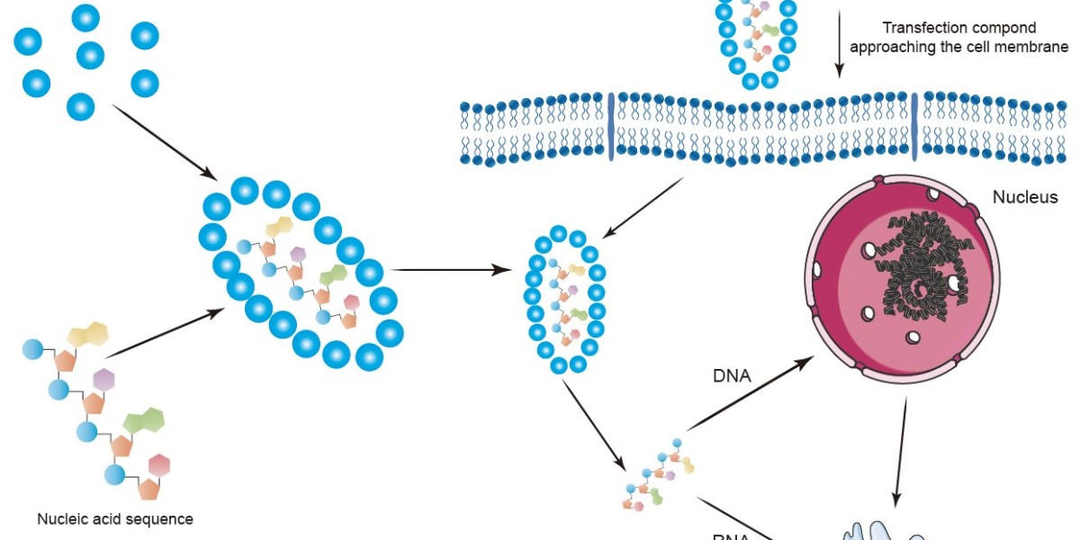 Normal Tissue-derived Organoid Culture Kits