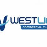 westlink cleaning services Profile Picture