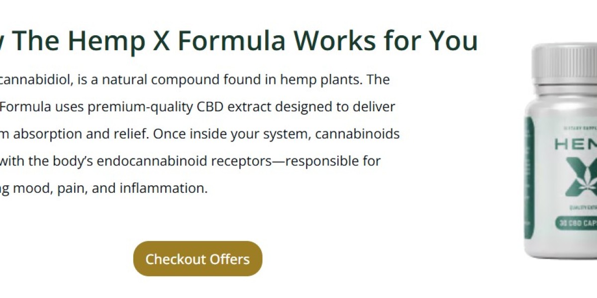 HempX CBD: Work, Uses, and Safety Overview [202