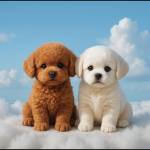 ShyamBaba ShyamBaba Profile Picture