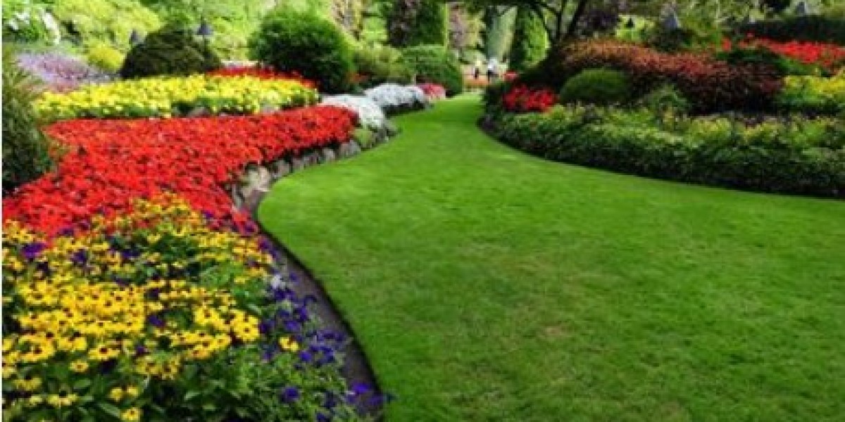 How to Achieve a Lush Lawn in Vancouver, WA