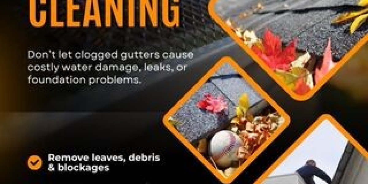 Common Gutter Problems in Seville