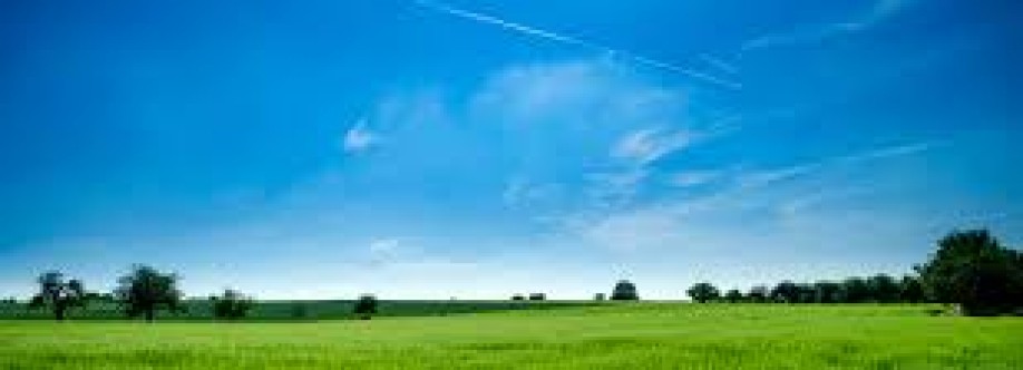 reeltor official Cover Image