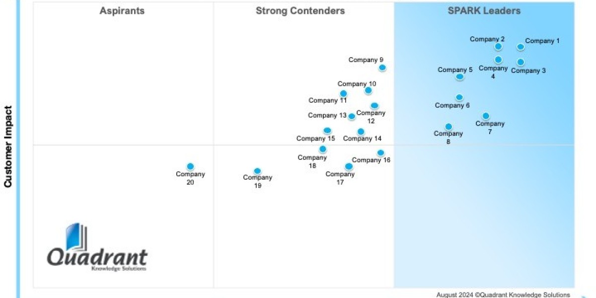 Empowering Enterprises with SPARK Matrix B2B Di