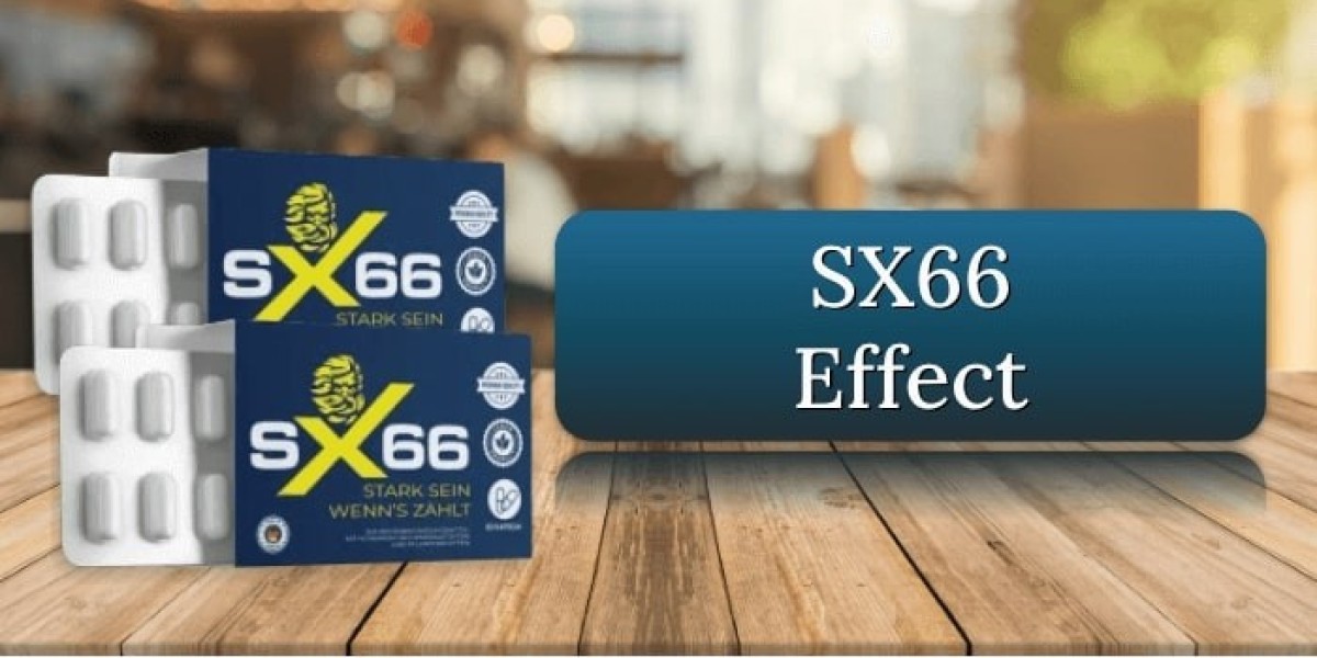 SX66 ME Official Website