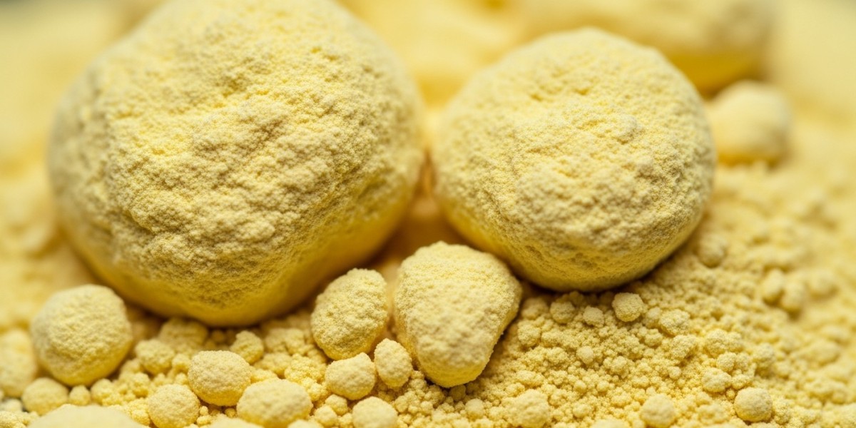 Tracking Insoluble Sulphur Price Trend 2025