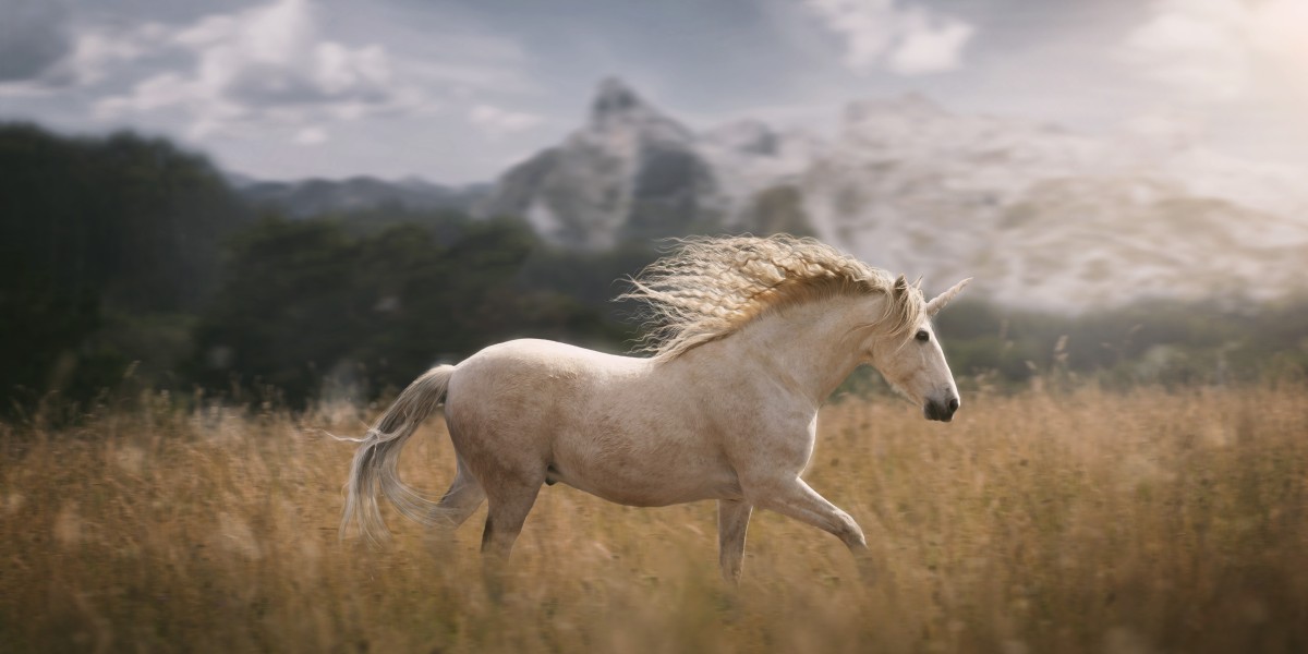 Why Horses Benefit from a Vitamin C Supplement