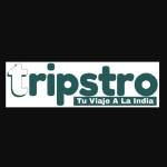 triangledorado india Profile Picture