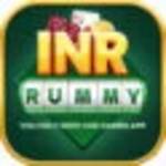 inr rummy profile picture