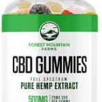 evel jacoz Profile Picture