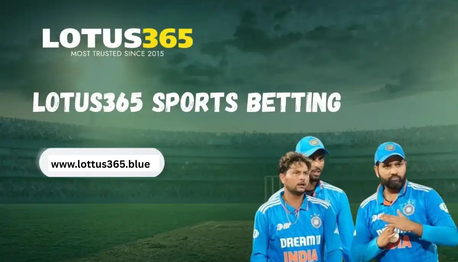 hazel foster Profile Picture